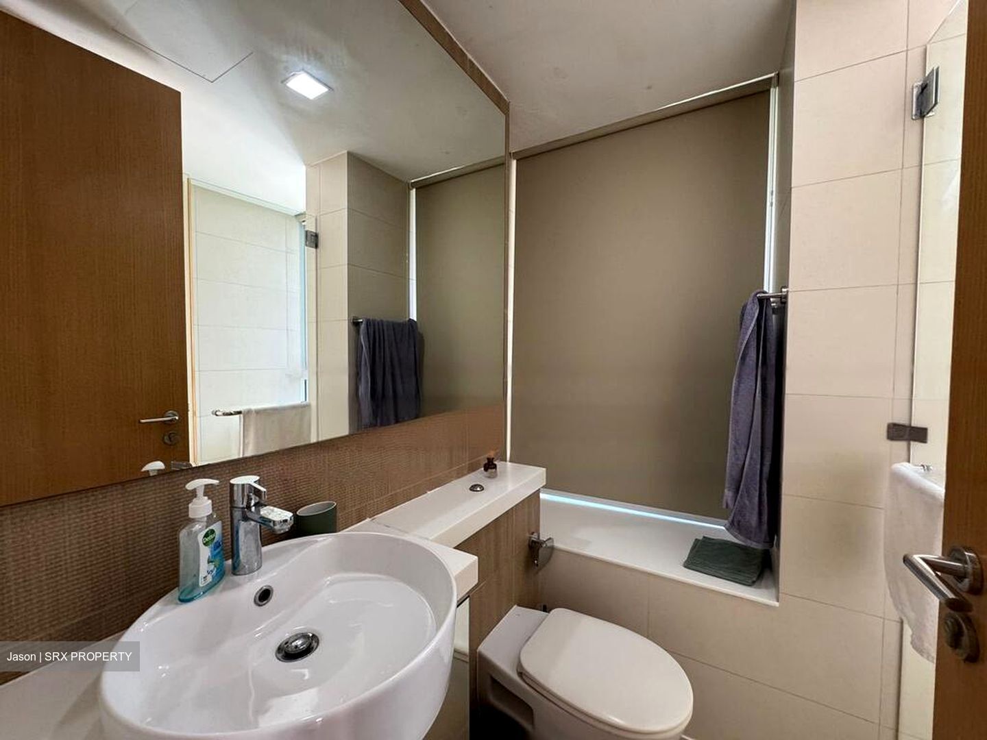 The Regency At Tiong Bahru (D3), Condominium #481294281